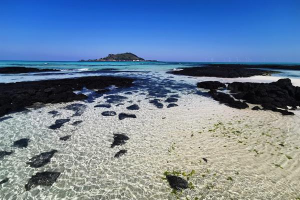 Desktop_Calendar_Front_Cover_(7).jpg Desktop_Calendar_Front_Cover_(7).jpg